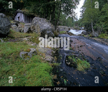 Vecchia cabina accanto a un fiume di montagna nella valle di Setesdal, Norvegia, Scandinavia, Europa Foto Stock