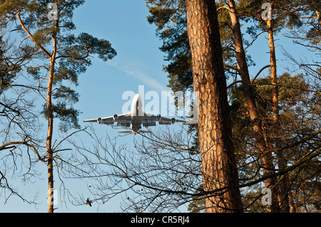 Lufthansa Boeing 747-400 di avvicinamento alla terra oltre Francoforte città della foresta, Francoforte, Hesse, Germania, Europa Foto Stock