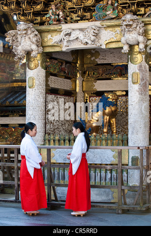 Giappone Isola di Honshu Kanto Regione città di Nikko santuari templi di Nikko elencati come patrimonio mondiale dall' UNESCO Tosho gu santuario Foto Stock