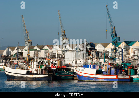 Barche da pesca nel porto di Città del Capo, Sud Africa e Africa Foto Stock