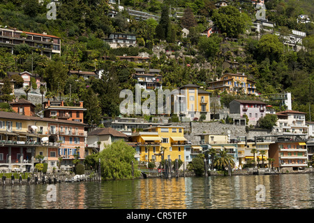 Villaggio di Ronco sopra Ascona sulla riva del Lago Maggiore, Ticino, Svizzera, Europa Foto Stock