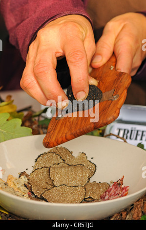 Il tartufo nero tagliato a fettine sottili con un tartufo affettatrice, Svizzera, Europa Foto Stock