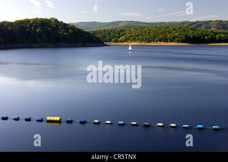 Una solitaria in barca a vela sul lago Rursee vicino Heimbach, autunno, catena montuosa Eifel, nella Renania settentrionale-Vestfalia, Germania Foto Stock