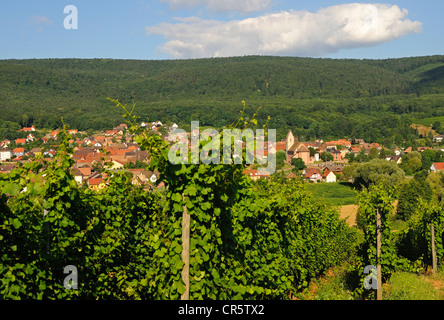 Il villaggio del vino di Orschwihr lungo l'Alsazia strada del vino e la Route des Vins d'Alsace, Alto Reno, Alsazia, Francia, Europa Foto Stock