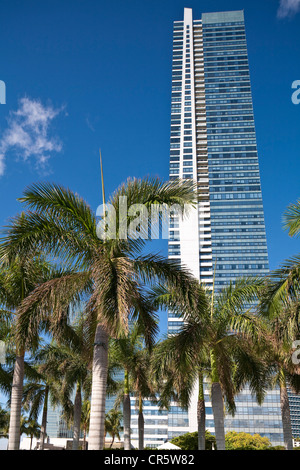 Stati Uniti, Florida, Miami, Downtown, hotel Four Seasons vista dalla piscina Foto Stock