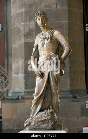 L'Italia, Toscana, Firenze, centro storico Patrimonio Mondiale UNESCO, Museo Nazionale del Bargello, sala con soffitto a volta o di Michelangelo Foto Stock