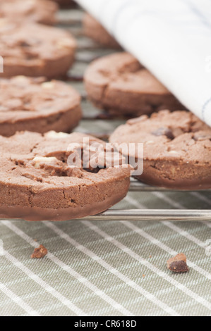 I biscotti al cioccolato su raffreddamento per rack Foto Stock