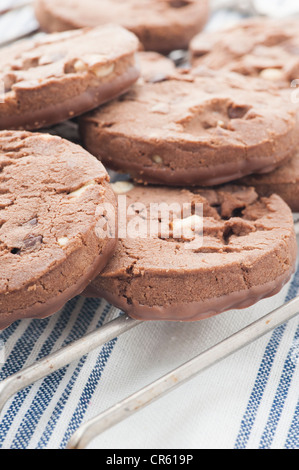 I biscotti al cioccolato su raffreddamento per rack Foto Stock