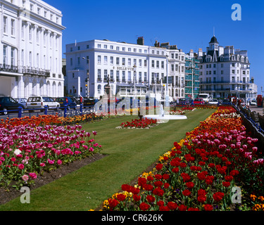 Giardini tappeti Eastbourne East Sussex Regno Unito Foto Stock