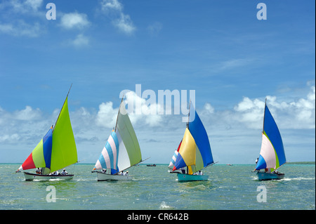 Maurizio Costa Sud, Grand Port District, Mahebourg, Mahebourg Bay, regata dei pescatori Foto Stock