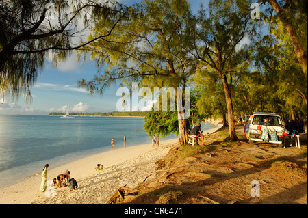 Maurizio Costa nordovest, Pamplemousses distretto, Mont Choisy, spiaggia pubblica sotto lei-querce Foto Stock