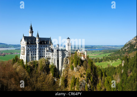 Schloss Castello di Neuschwanstein, da Marienbruecke, Mary's Bridge, Est Allgaeu, Allgaeu, Svevia, Baviera, Germania, Europa Foto Stock