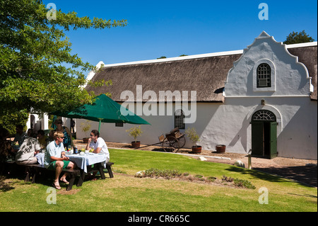Sud Africa, Western Cape, strada del vino, vino di dominio Morgenhof nella regione di Stellenbosch Foto Stock
