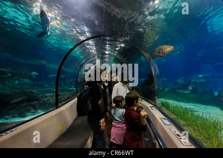 In Spagna, in Catalogna, Barcellona, l'acquario del Maremagnum centro commerciale Foto Stock