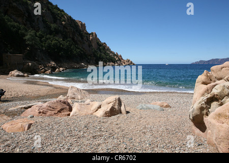 La spiaggia di Ficajola Capu Rossu Golfe de Porto Corsica Francia Foto Stock