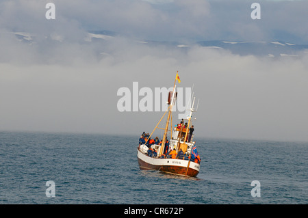 L'Islanda, Nordurland Eystra Regione, Skjalfandi Bay, Husavik, avvistamento di balene Foto Stock