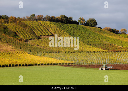 In Germania, in Baviera, Michelau im Steigerwald, vista del vigneto Foto Stock