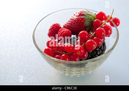 I frutti rossi in una coppa di frutta. Chiudere la vista. Foto Stock