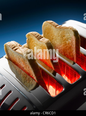 Tostare nel tostapane contro sfondo blu Foto Stock