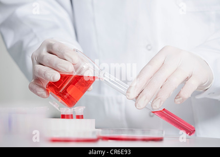 In Germania, in Baviera, Monaco di Baviera, scienziato versando il liquido rosso in provetta per la ricerca medica in laboratorio Foto Stock