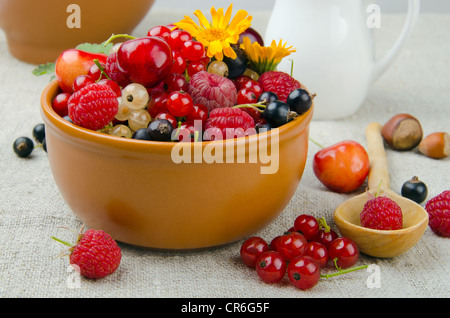 Ancora in vita di estate bacche - ciliegie e fragole, uve secche di Corinto e di etc Foto Stock