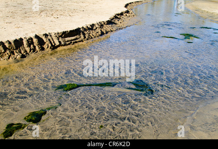 I modelli di ondulazione nella sabbia in shallow creek bed in Baja Messico vicino 'Todos Santos' Foto Stock