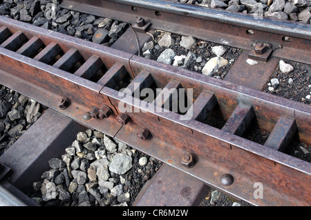 Schynige Platte, ferroviaria Interlaken, Svizzera - binario con sezione extra per cog Foto Stock