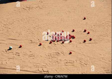 Azione dal mondo marmi campionati che si tiene ogni venerdì santo presso il pub Greyhound a Tinsley Green Foto Stock