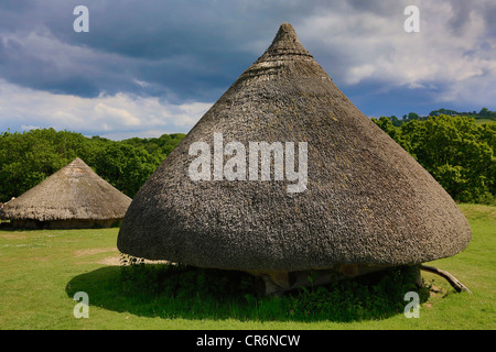 Roundhouses a Castell Henllys Iron Age hillfort , Pembrokeshire Wales UK 120080 Castell Henlys Foto Stock