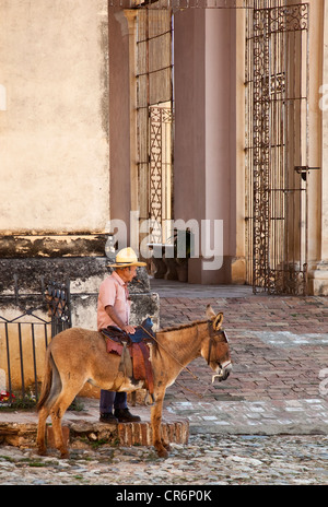 Un uomo su un asino Trinidad Cuba Foto Stock