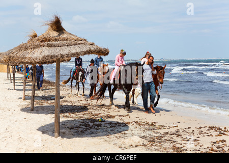 I turisti di equitazione per denaro su cavalli sul litorale del mare. Spiaggia di sabbia su circa maggio, 2012 in Tunisia Foto Stock