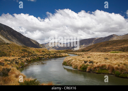 Mararoa Fiume, Vicino Mavora Lakes, Southland, Isola del Sud, Nuova Zelanda Foto Stock