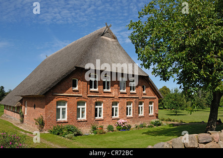 Rinnovato, vecchia casa colonica con il tetto di paglia, Warnekow, Meclemburgo-Pomerania Occidentale, Germania, Europa Foto Stock