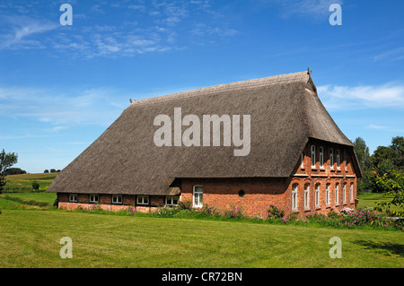 Rinnovato, vecchia casa colonica con il tetto di paglia, Warnekow, Meclemburgo-Pomerania Occidentale, Germania, Europa Foto Stock