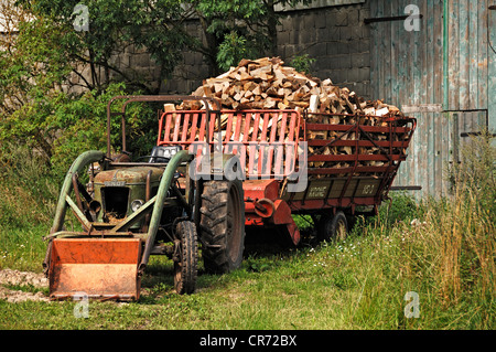 Vecchio trattore con la divisione legname caricata wagen, Othenstorf, Meclemburgo-Pomerania Occidentale, Germania, Europa Foto Stock