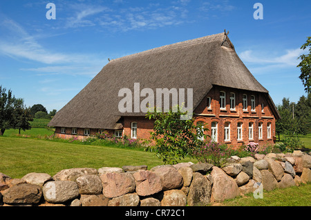 Rinnovato, vecchia casa colonica con il tetto di paglia, Warnekow, Meclemburgo-Pomerania Occidentale, Germania, Europa Foto Stock