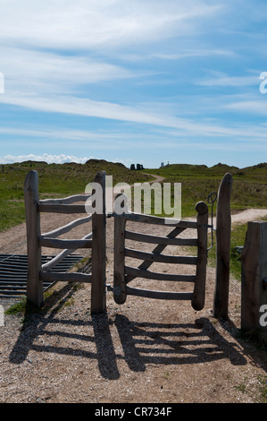 Legno scolpito sul gate Llanddwyn Isola Anglesey North Wales Foto Stock