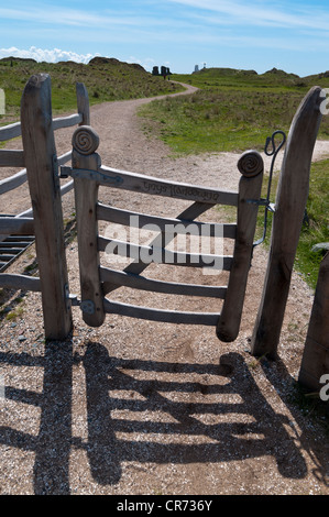 Legno scolpito sul gate Llanddwyn Isola Anglesey North Wales Foto Stock