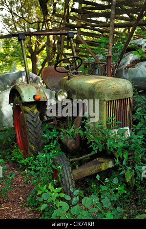 Vecchio sovradimensionate Dieslross Fendt trattore dal 1956, Oedenberg, Media Franconia, Baviera, Germania, Europa Foto Stock