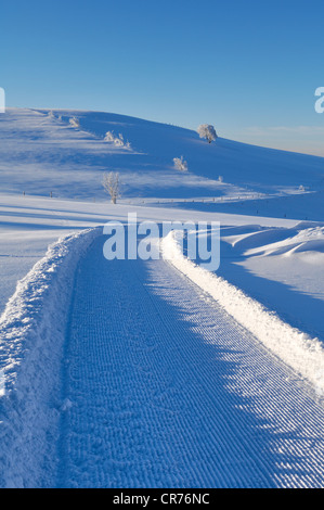 Pista da sci di fondo su Schauinsland Mountain, Foresta Nera, Baden-Wuerttemberg, Germania, Europa Foto Stock