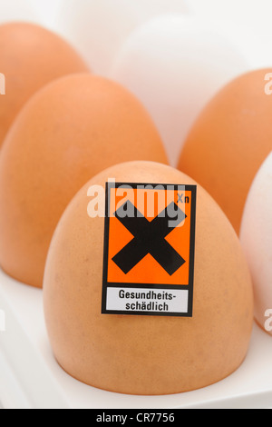 Uova di gallina con simbolo di pericolo "Gesundheitsschaedlich', tedesco per "nocivo per la salute', immagine simbolica per la contaminazione di uova Foto Stock