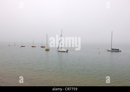 Barche a vela nella nebbia, Forggensee Lake, vicino a Füssen, Allgaeu, Baviera, Germania, Europa Foto Stock