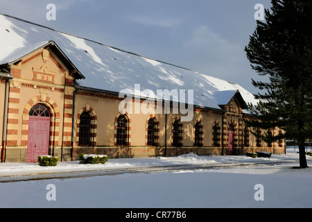 Francia, Manche, Cotentin, Saint Lo, allevamento per cavalli Haras National) Foto Stock