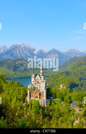 Schloss Castello Neuschwanstein vicino a Füssen, Allgaeu, Baviera, Germania, Europa Foto Stock
