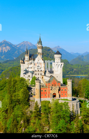 Schloss Castello di Neuschwanstein, vicino a Fussen, Ostallgaeu, Allgaeu, Baviera, Germania, Europa Foto Stock