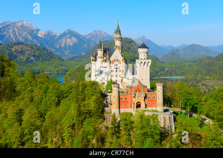 Schloss Castello di Neuschwanstein, vicino a Fussen, Ostallgaeu, Allgaeu, Baviera, Germania, Europa Foto Stock