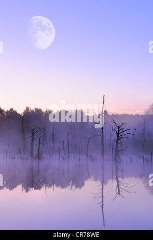 Luna sopra il Schwenninger Moos riserva naturale, composito fotografia, la sorgente del fiume Neckar, Villingen-Schwenningen Foto Stock