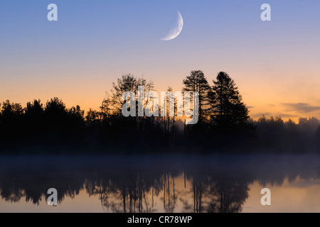 Luna sopra il Schwenninger Moos riserva naturale, composito fotografia, la sorgente del fiume Neckar, Villingen-Schwenningen Foto Stock