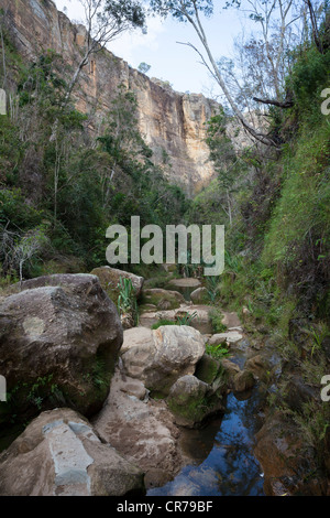 Canyon verdeggiante, Isalo National Park, Ihorombe Regione del Madagascar. Foto Stock