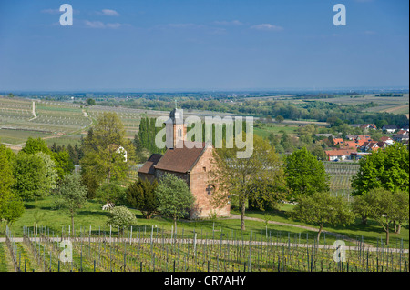 San Nicola Cappella, Klingenmuenster, Deutsche Weinstrasse, tedesco la Strada del Vino, Pfalz, Renania-Palatinato, Germania, Europa Foto Stock